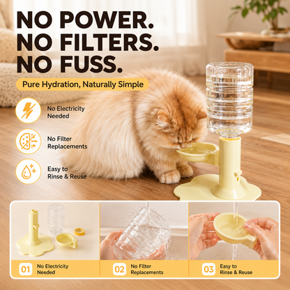 Gravity Cat Water Dispenser Stand, Spill-Proof, Filter-Free, No Electricity with a Bucket