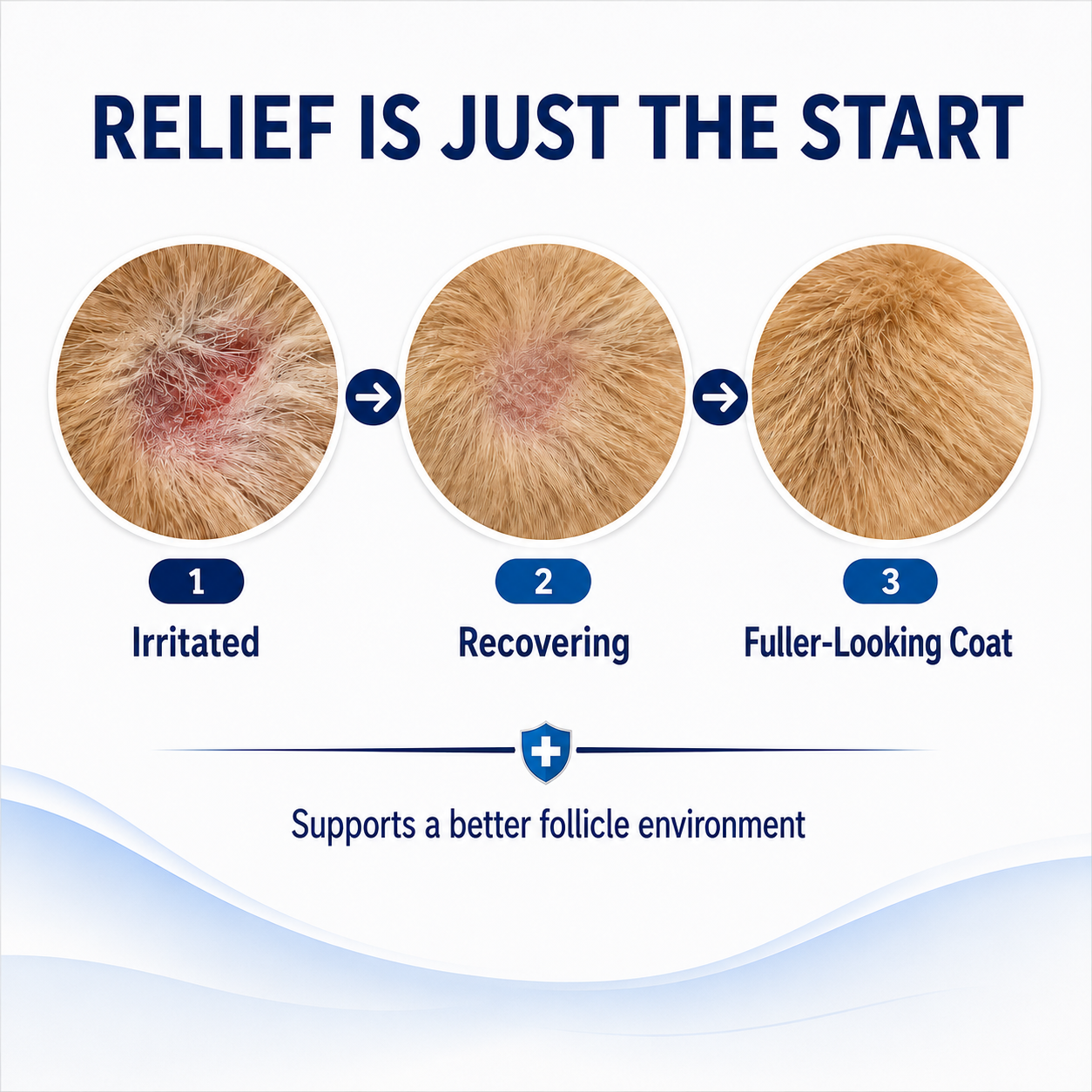 🔥Healrize® Pet Itch & Hot Spot Spray - 100% Lick-Safe