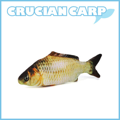 Pets Floppy Fish